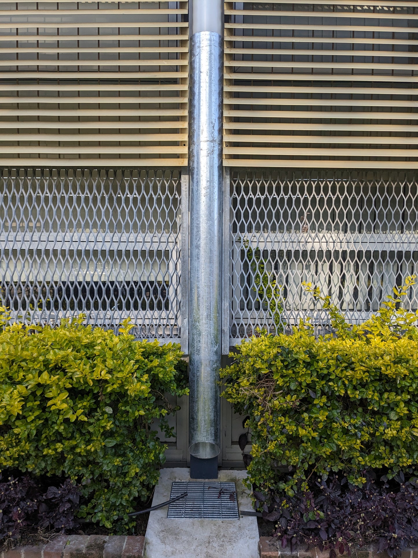 pipe protector on school down pipe